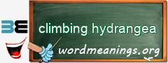 WordMeaning blackboard for climbing hydrangea